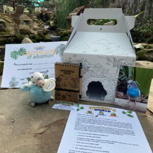 Budgie Adoption Pack