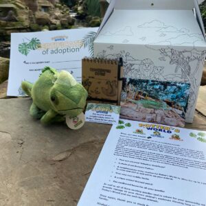 Chameleon Adoption Pack
