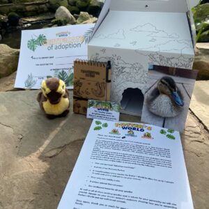 Duck Adoption Pack