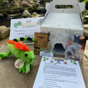 Green Iguana Adoption Pack