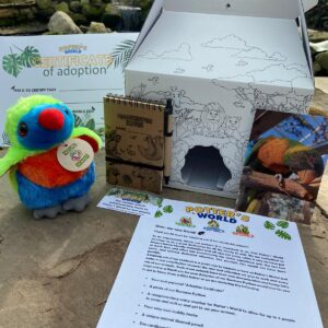 Rainbow Lorikeet Adoption Pack
