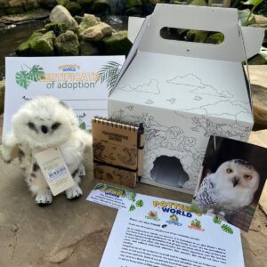 Snowy Owl Adoption Pack