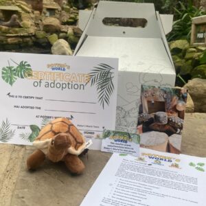 African Spurred Tortoise Adoption Pack
