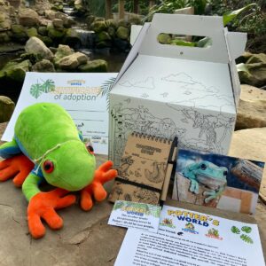 White's Tree Frog Adoption Pack