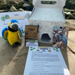 Macaw Adoption Pack