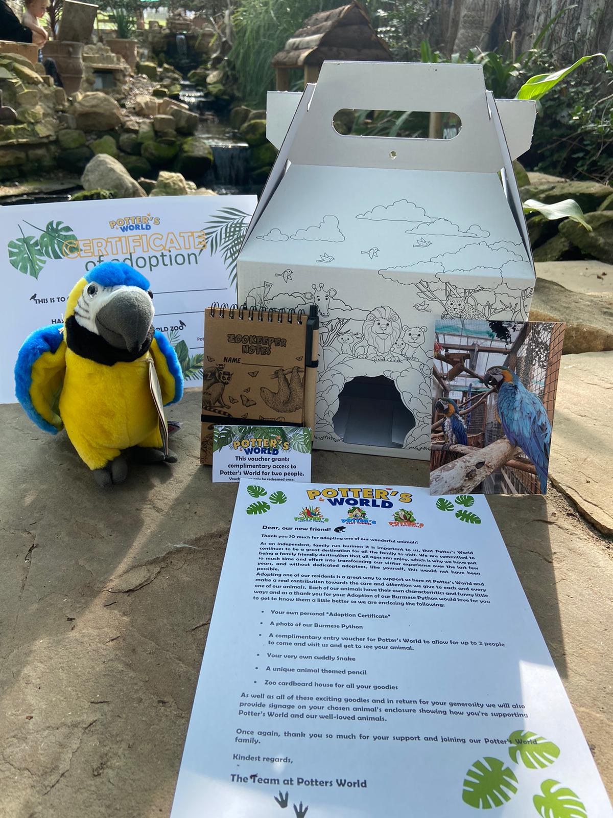 Image showcasing Macaw Adoption Pack - Lanchester Garden Centre