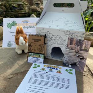 Rabbit Adoption Pack